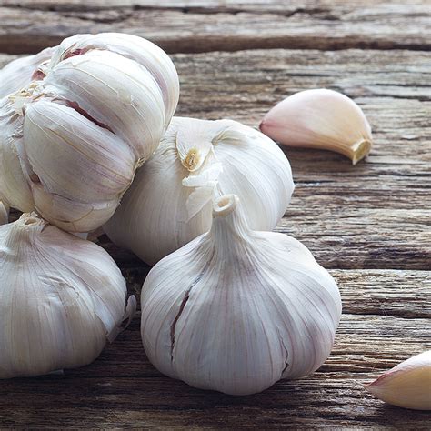 Garlic - Quick Dry Foods