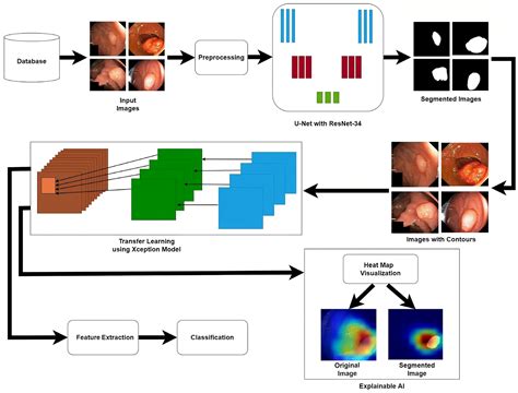 Localization and Classification of Gastrointestinal Tract Disorders