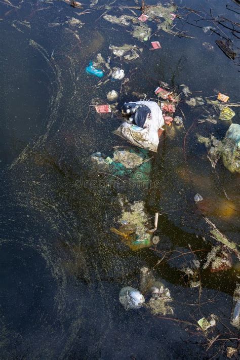 Garbage in dirty water stock image. Image of junk, lake - 179863667