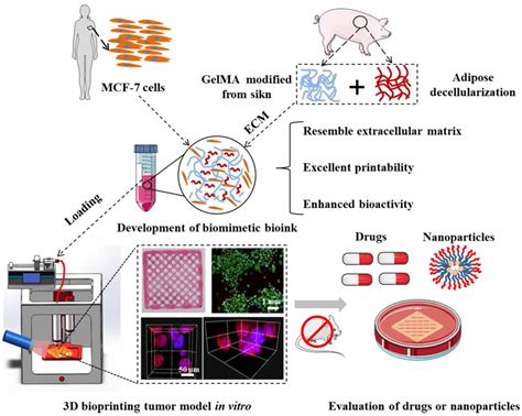 3d Bioprinted Tumor Model With Extracellular Matrix Enhanced Bioinks