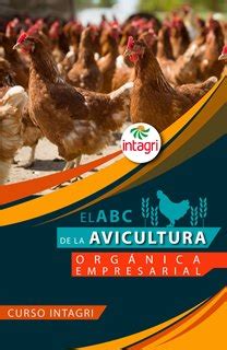 Curso Virtual El Abc De La Avicultura Org Nica Empresarial