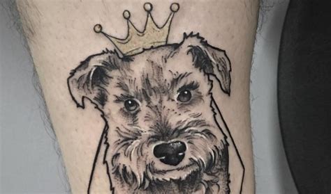 20 Amazing Schnauzer Dog Tattoo Ideas The Dogman