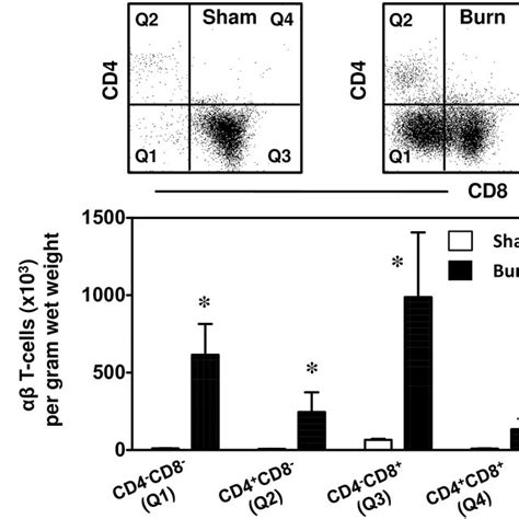 Cd4 And Cd8 Populations Of αβ T Cells After 24 H Of Sham Or Burn