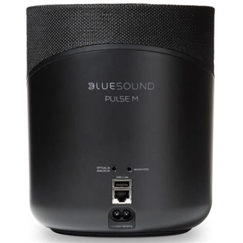 Bluesound Pulse M Noir Enceinte Bluetooth Garantie Ans Ldlc