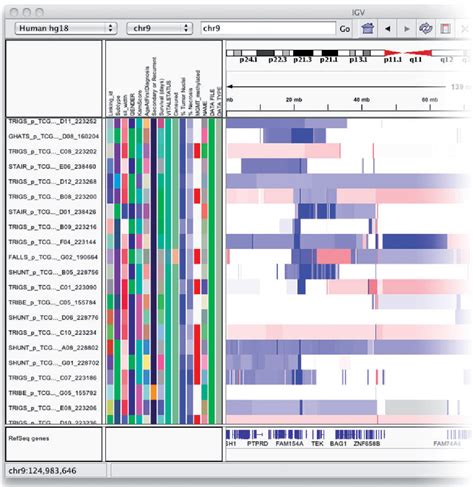 Figure From Integrative Genomics Viewer Igv High Performance