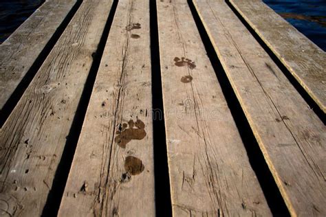 Empreintes De Pas Humides Sur Le Pilier En Bois Photo Stock Image Du