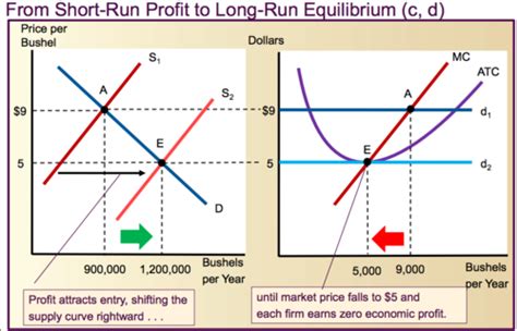 Ocr A Level Economics Micro Market Structures Flashcards Quizlet