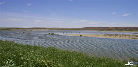 Bitter Lake National Wildlife Refuge New Mexico True Photos — Jason ...