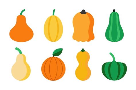 Un Conjunto De Diferentes Calabazas Con Diferentes Colores Vector Premium