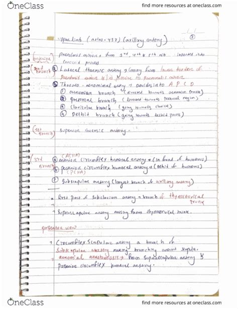 Mbbs Lecture Upper Limb Mbbs St Proff Brachial Plexus Axillary