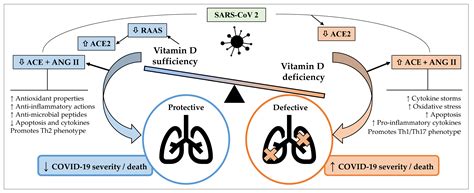 Vitamin D And Covid 19 | Hot Sex Picture