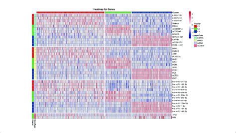 Heatmap Of The Most Differentially Expressed Lncrnas Mrnas Mirnas Download Scientific