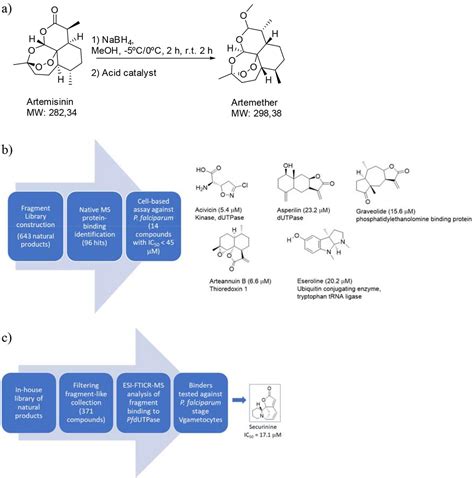 SciELO Brasil Strategies Towards Expansion Of Chemical Space Of