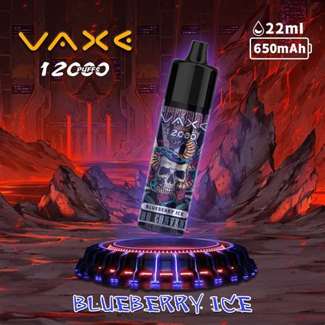 Vaxe 12000 Vapes Rechargeable Type C Electronic E Cigarette Wholesale