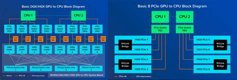 NVIDIA AI GPU Servers: PCIe vs. SXM | FiberMall