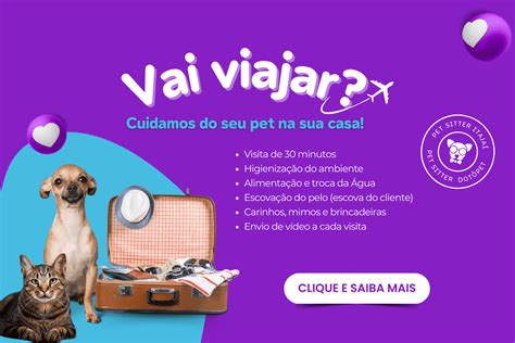 O Que Pet Sitter E Porque Voc Deve Contratar Dot Pet