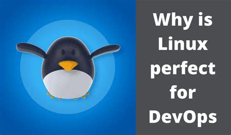 Why Is Linux Perfect For Devops Linuxtechlab