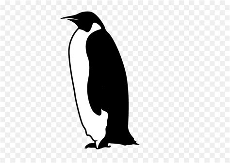 Penguin Clip art Fauna Silhouette Beak - png download - 640*640 - Free ...