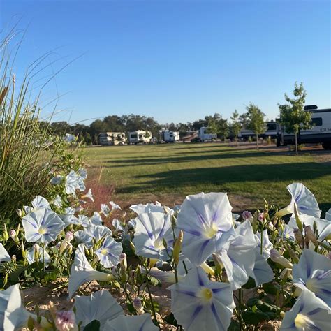 Home Arch Ray Rv Park