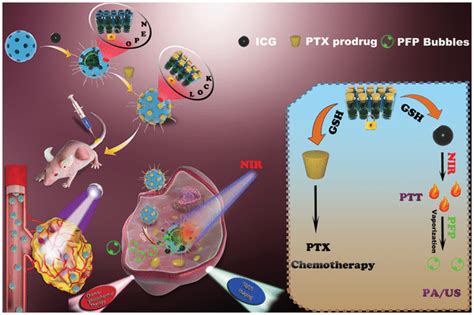 Schematic Illustration Of The Construction Of Icg Pfp Hmoppeg For