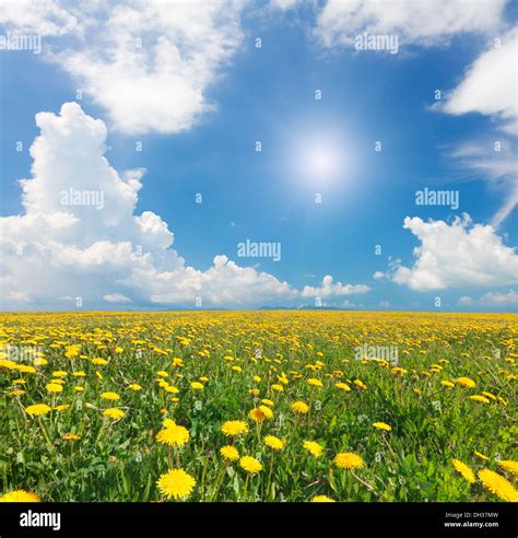 amazing nature  stock photo alamy