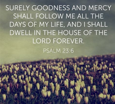 Psalm 236 Esv Surely Goodness And Mercy Shall Follow Me All The Days