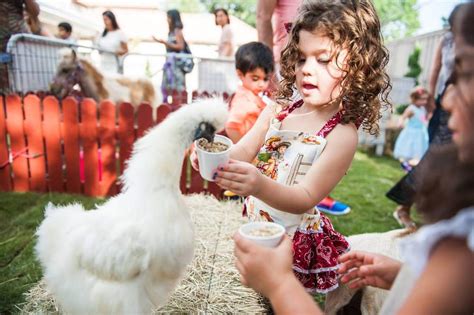 Petting Zoofarm Themed Birthday Party Ideas Photo 7 Of 30 Catch My