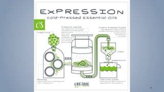 Methods of oil extraction | PPT