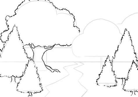 Forest Drawing Guide In 6 Steps (+ Video Tutorial)