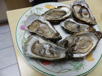 Les huîtres du banc dArguin Gastronomie Arcachon Bassin d