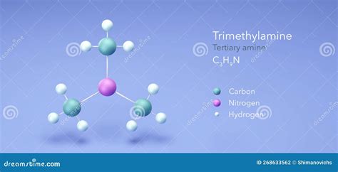 Trimethylamine Molecule, Molecular Structures, Tertiary Amine, 3d Model ...