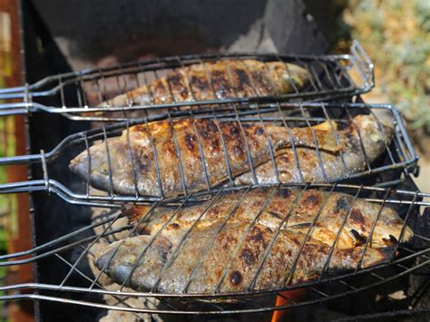 Fisch grillen mit einem Fischbräter so grillen Sie Fisch richtig