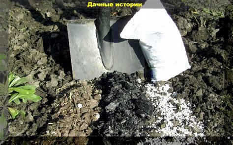 Удобряем правильно. Осеннее внесение минеральных и органических ...