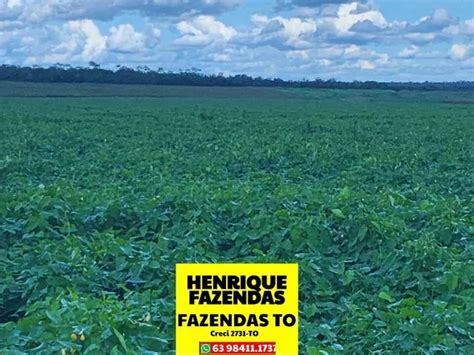 Fazenda Plantando Apenas Em Dois Talh Es Soja Altitude Metros Toda