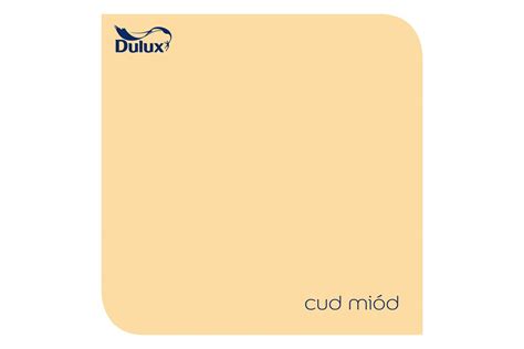 Farba Lateksowa Easycare Plamoodporna Cud Mi D L Dulux Bricomarche Pl