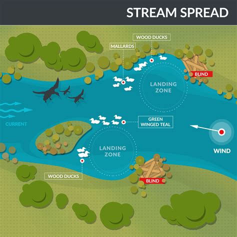 Duck Decoy Spreads Diagrams