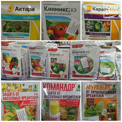 Какие бывают виды фунгицидов: какую пользу они приносят при ...