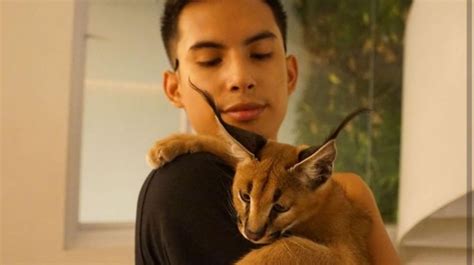 Fakta Unik Kucing Caracal Yang Ditelantarkan Okin Aslinya Tak Boleh