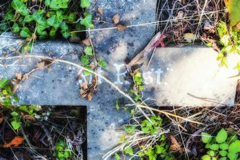 Premium Photo | Plants on old tombstone in cemetery