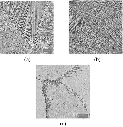 Scielo Brasil Effects Of Composition And Thermal Treatment Of Cu Al