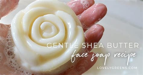 Gentle Shea Butter Face Soap Recipe For Beautiful Skin