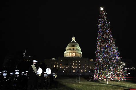 Photos 2018 Us Capitol Christmas Tree Lighting Wtop News