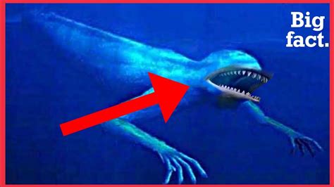 Rarest Sea Creatures Ever Caught On Camera Youtube