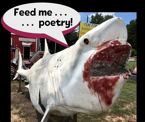 Poetry for Children: Poetry for Shark Week