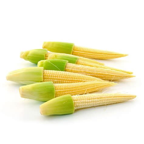 Baby-corn – Fresh Foods BKK