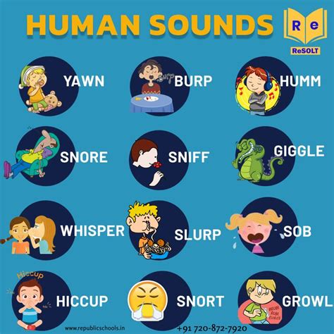 Human Sounds | English language classes, Human, Learn english