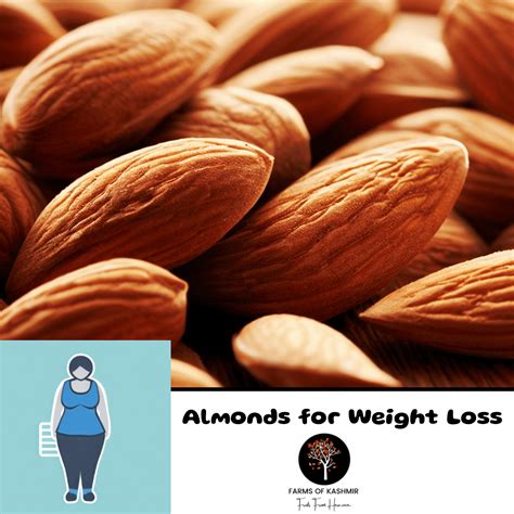 Unlock The Incredible Potential Of Almonds For Weight Loss A Science