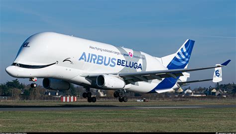 F Gxlo Airbus Transport International Airbus A L Beluga Xl Photo