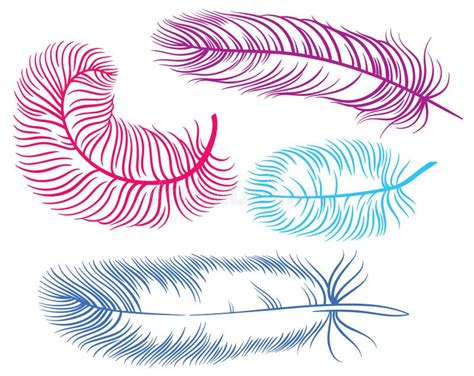 Vector Illustration Of Feather Stock Vector Illustration Of Flight