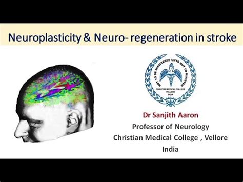 Neuro Plasticity Neuro Regeneration In Stroke Dr Sanjith Aaron CMC